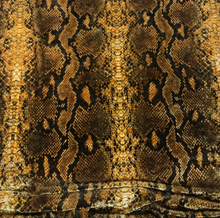 Load image into Gallery viewer, Crawling King Snake (Red &amp; Golden Brown)